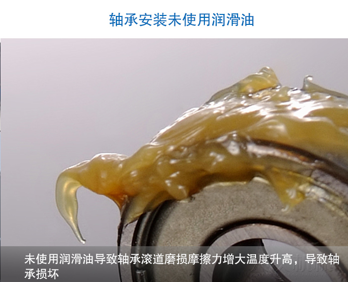 圆妖精动漫官网